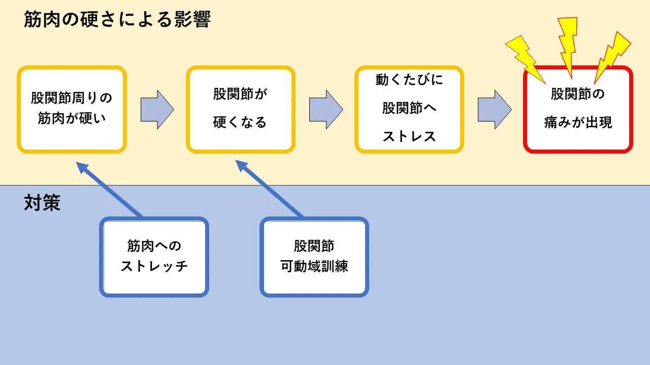 股関節　痛み　筋肉